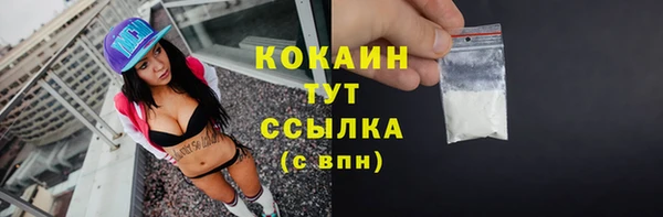 дживик Кукмор