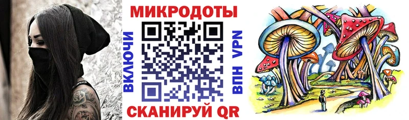 дарк нет как зайти  omg маркетплейс  Псилоцибиновые грибы GOLDEN TEACHER  Михайловка  купить наркотики цена 