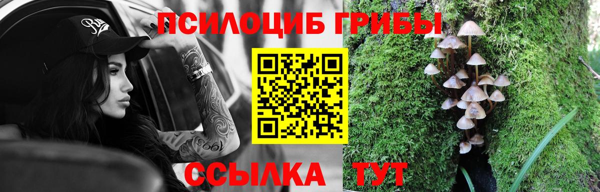 Галлюциногенные грибы Psilocybine cubensis Михайловка