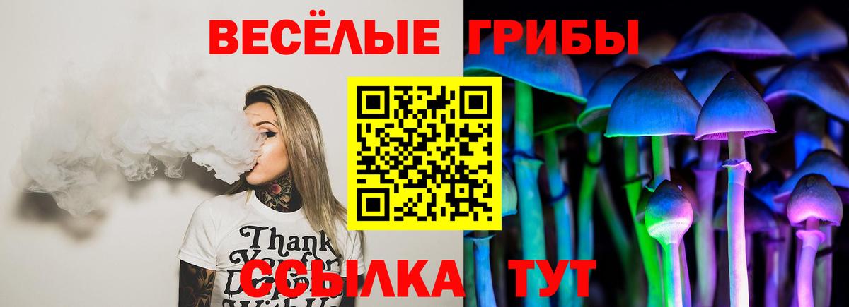 Михайловка  Галлюциногенные грибы прущие грибы  Вход с VPN 