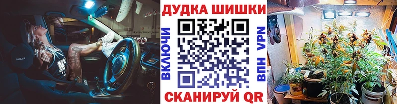 как найти Михайловка Каннабис сатива